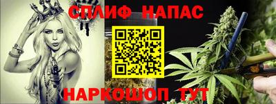 молекула духа Беслан