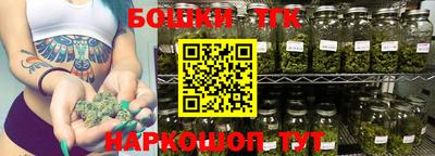 хмурый Бийск