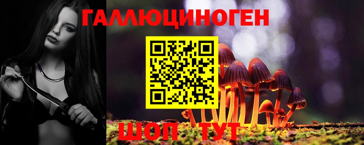 Псилоцибиновые грибы ЛСД Горно-Алтайск